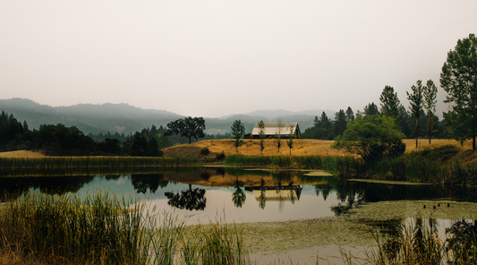 Adler Springs Vineyard