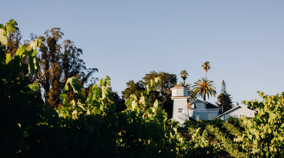 Kobler Family Vineyard