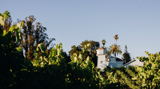 Kobler Family Vineyard